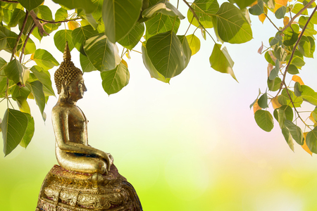 Buddha under Bodhi Leaf on nature background. Sacred Tree for Buddhist or Hindus and Beautiful natural blurred green background with sun rays.の写真素材