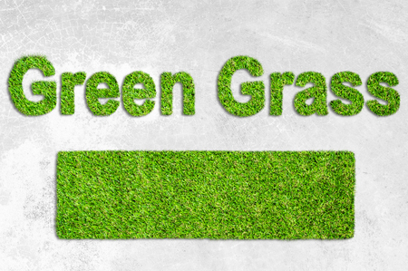 Green grass on white framework concrete surface or road background. Urban nature concept. Place for text and Can used for display or montage your products.の写真素材