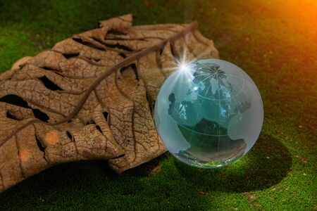 World globe crystal glass on dry leaf on green moss and reflect shine sun. World environment day. Global business for sustainable development. Environmental conservation. Nature and ecology concept.の写真素材
