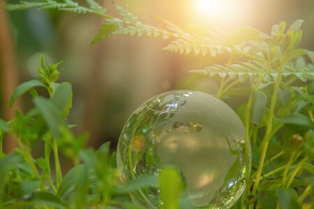 World globe crystal glass on green leaves bush. Green & Eco environment. Environmental conservation....