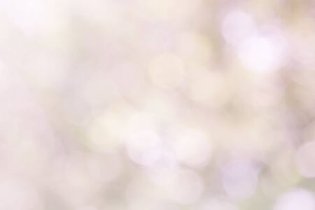Pastel pink blur bokeh soft glitter light abstract spring background, Pink white effect background natural blurred flower at soft glitter shiny, Red In love season in from leaf and tree for valentine.の写真素材