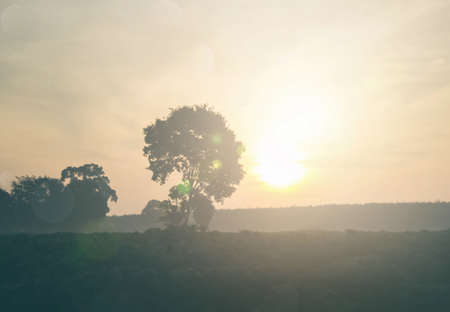 Relaxing outdoors vacation landscape concept: Abstract blurred sunlight meadow tree colorful blurred bokeh background with retro effect autumn sunset sky have blue bright, white, color orange calm.の写真素材