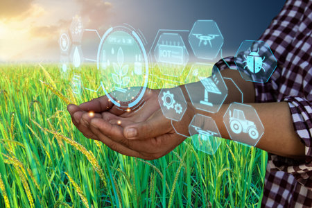 Smart farming with IoT, Growing rice farming with smart agriculture and precision agriculture...