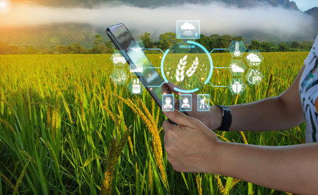 Ai smart farming agriculture concept. Holding smartphone monitor, track agricultural produce through modern wireless network. Smart farming innovation, future 5G technology analyzeの写真素材