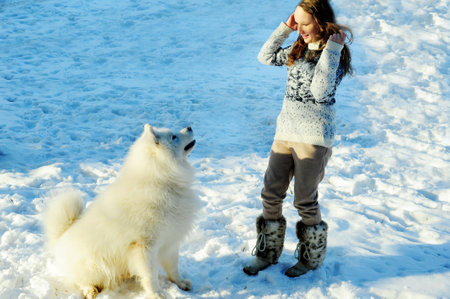 teenage girl plays with a dog of the Samoyed breed dog fluffy snow-white and big she plays outside in the snow hugging and having fun girl beautiful and young she is brown-hairedの写真素材