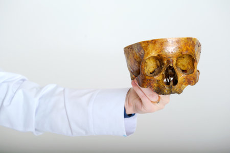 in the hand of a doctor real skull of adult on white background medicine science study of structure...