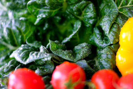 Caucasian Female Hands Slicing Organic Tomatoes Close Up - Female Caucasian hands close up slicing fresh organic red vine tomatoes part healthy lifestyle lunchの写真素材