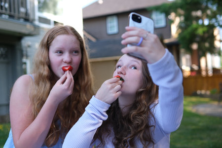 Girlfriends friends LGBT relationships Take photos, take selfies, blog Two girls in Canada on a picnic sit on the grass on a mat, eat fruit and drink juice eat strawberriesの写真素材