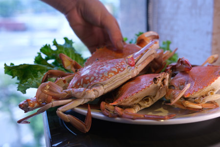 steamed hairy crab meat in hand close up.の写真素材