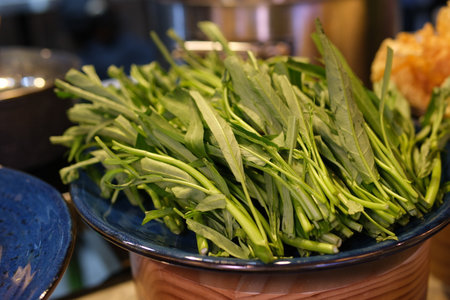 harvesting fresh green herbs in an organic garden. Sustainable farming, homegrown vegetables, eco-friendly lifestyle and healthy food concept.の写真素材