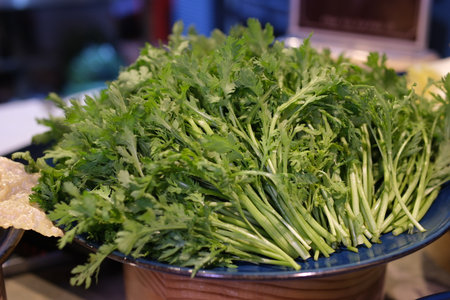 harvesting fresh green herbs in an organic garden. Sustainable farming, homegrown vegetables, eco-friendly lifestyle and healthy food concept.の写真素材