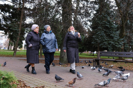 Senior friends, walking and talking together on an outdoor path to relax in nature with elderly women in retirement. People, happy conversation and healthy exercise in the park in autumn or winterの写真素材