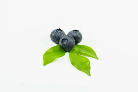 Blueberry isolated on white backgroundの写真素材