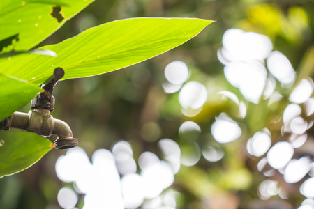 old and grunge brass faucet and water drop on green bokeh from tree background. Nature create water...