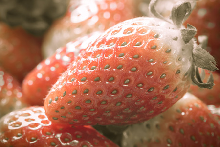 close up of group of fresh red strawberry,made with filterの写真素材
