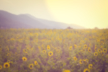abstract blur and blur effect of beautiful mountain in summer, vintage toningの写真素材