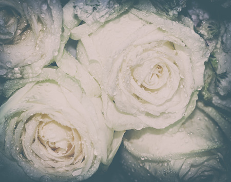 Colorful flowers. It looks natural and breezy. That is suitable for background,backdrop,wallpaper and artwork design.の写真素材