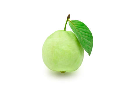 Single one organic guava fruit with green leaf on white isolated background with clipping path,...