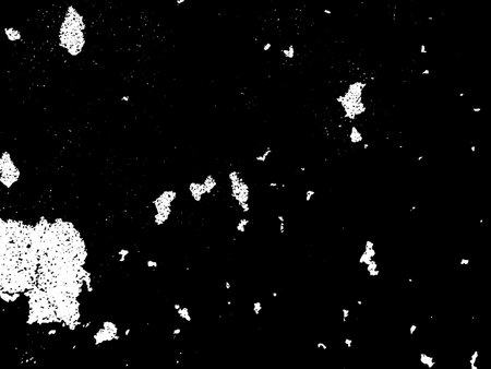 Grunge Black and White Distress Texture For Your Design. EPS10 vector.のイラスト素材