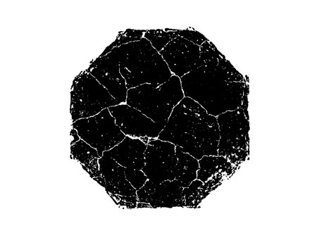 Black and white grunge texture. Abstract background. Vector illustration.のイラスト素材