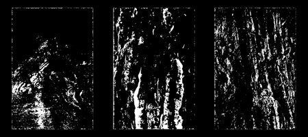 Set of four grunge textures on black background. Vector illustration.のイラスト素材