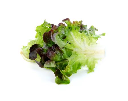 lettuce leaves isolated on white backgroundの写真素材