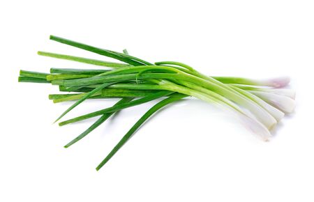 Green onion isolated on the white backgroundの写真素材