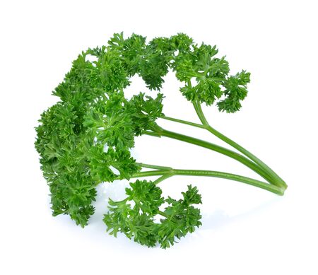 parsley isolated on white backgroundの写真素材