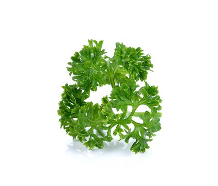 parsley isolated on white backgroundの写真素材