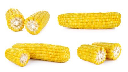 Corn on the white backgroundの写真素材