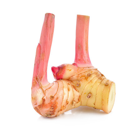 Fresh slices galangal rhizomes isolated on white backgroundの写真素材