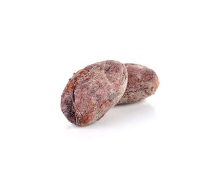 cocoa bean isolated on white backgroundの写真素材