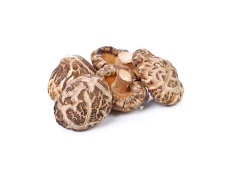 Dry Mushrooms on white backgroundの写真素材