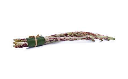 Yard long bean isolated on the white background.