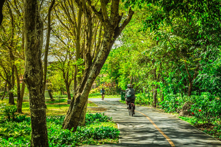People on Bicycles in Public park at Bangkrajaoの写真素材