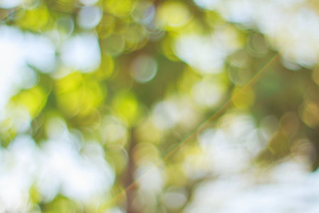 Multicolor beautiful abstract bokeh backgroundの写真素材