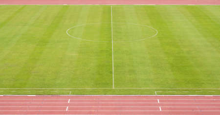 green soccer field with lineの写真素材