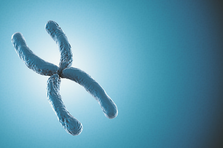 3d rendering blue chromosome on blue backgroundの写真素材
