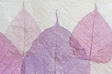 japanese handmade paper with violet leaves patternの写真素材