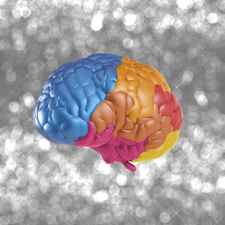 creativity concept with 3d rendering colorful brainの写真素材