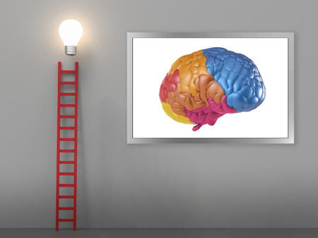 ladder to success concept with colourful brain and ladder