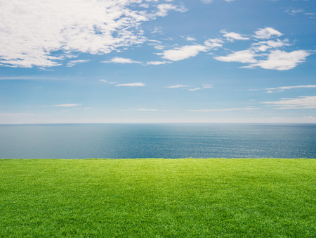 green grass on blue sea and blue sky backgroundの写真素材