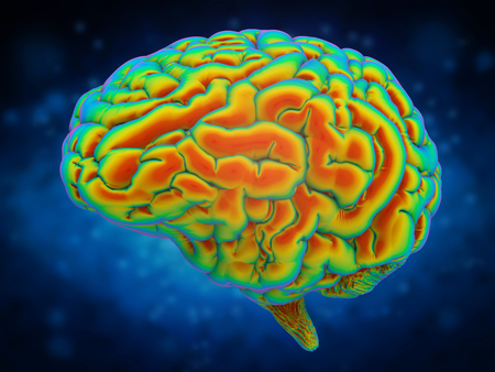 brain power concept with 3d rendering shiny human brainの写真素材
