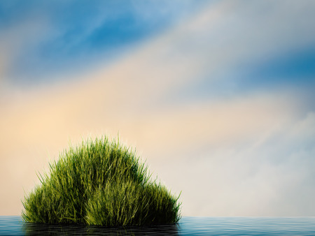 3d rendering water plant with blue backgroundの写真素材