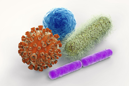 3d rendering virus and bacteria cells on white background