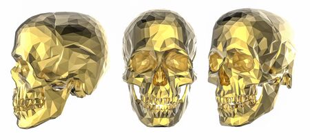 3d rendering set of polygonal human skulls isolated on white backgroundの写真素材