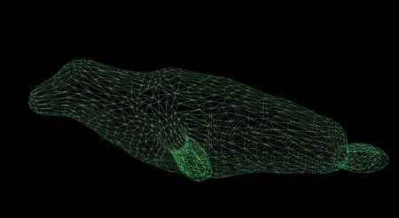3d rendering wireframe polygonal seal isolated on black