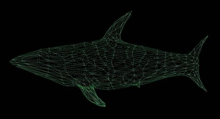 3d rendering wireframe polygonal shark isolated on blackの写真素材