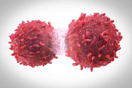3d rendering red cancer cell divide or spread out