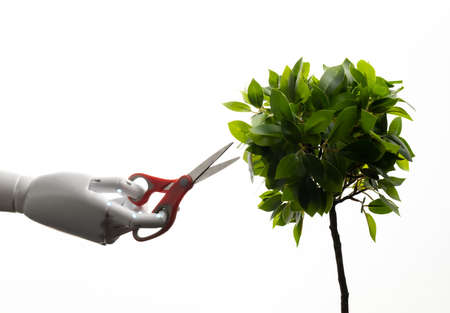 Robot hand hold scissors trimming plant isolated on white